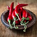 David's Garden Seeds Pepper Chili Fresno 1996 (Red) 50 Non-GMO, Organic, Heirloom Seeds