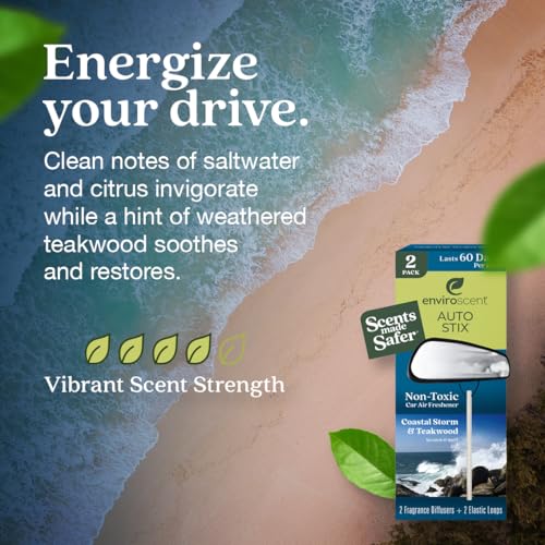 Image of Enviroscent Non-Toxic* Car Air Freshener Auto Stix - Scents Made Safer - Enjoy Fragrance Lasts Up to 180 Days - Includes Auto Stix Diffusers & Elastic Loops - Coastal Storm & Teakwood (Pack of 3)