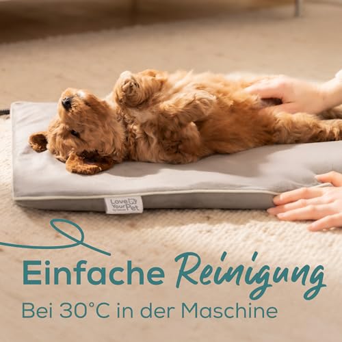 Beurer Love Your Pet Heizmatte S Lilli für Hunde und Katzen, elektrisch beheizte Wärmematte mit Timer, kleine Hundedecke, Heizkissen waschbar bei 30°C, Kratzfest und wasserdicht, 41 x 34 cm