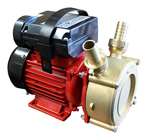 Pompe de transfert BFFBEM20 Bricoferr 0,45HP haute pression
