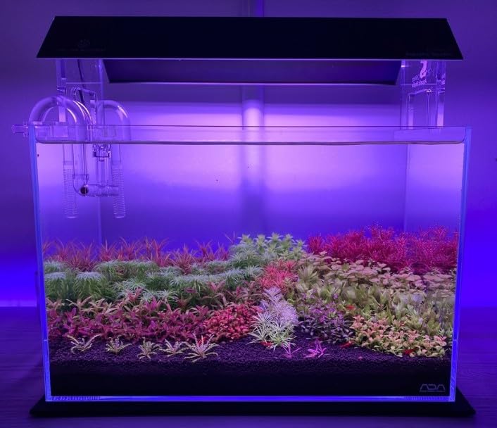 PBR Planted Aquarium Substrate Black Loose Soil Aqua Soil Planted Substrat 1kg 3