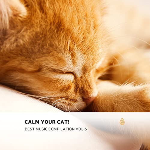 Calm Your Cat! Vol.6