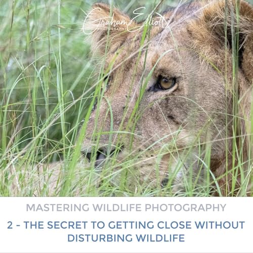 Mastering Wildlife Photography Part 2: The Secret to Getting Close Without Disturbing Wildlife