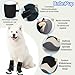 Hundeschuhe Pfotenschutz [4 Stück], Wasserabweisend & Atmungsaktiv, rutschfeste Sohle & Reflektierender Klettverschluss - Für Klein/Mittel/Großhunde | Hochschaftige Outdoor Hundestiefel (6#)