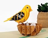 CUTPOPUP Yellow Grosbeak Pop Up Card, 3D Birthday Cards, Fathers Day, Mothers Day Card, Thank You Greeting Card