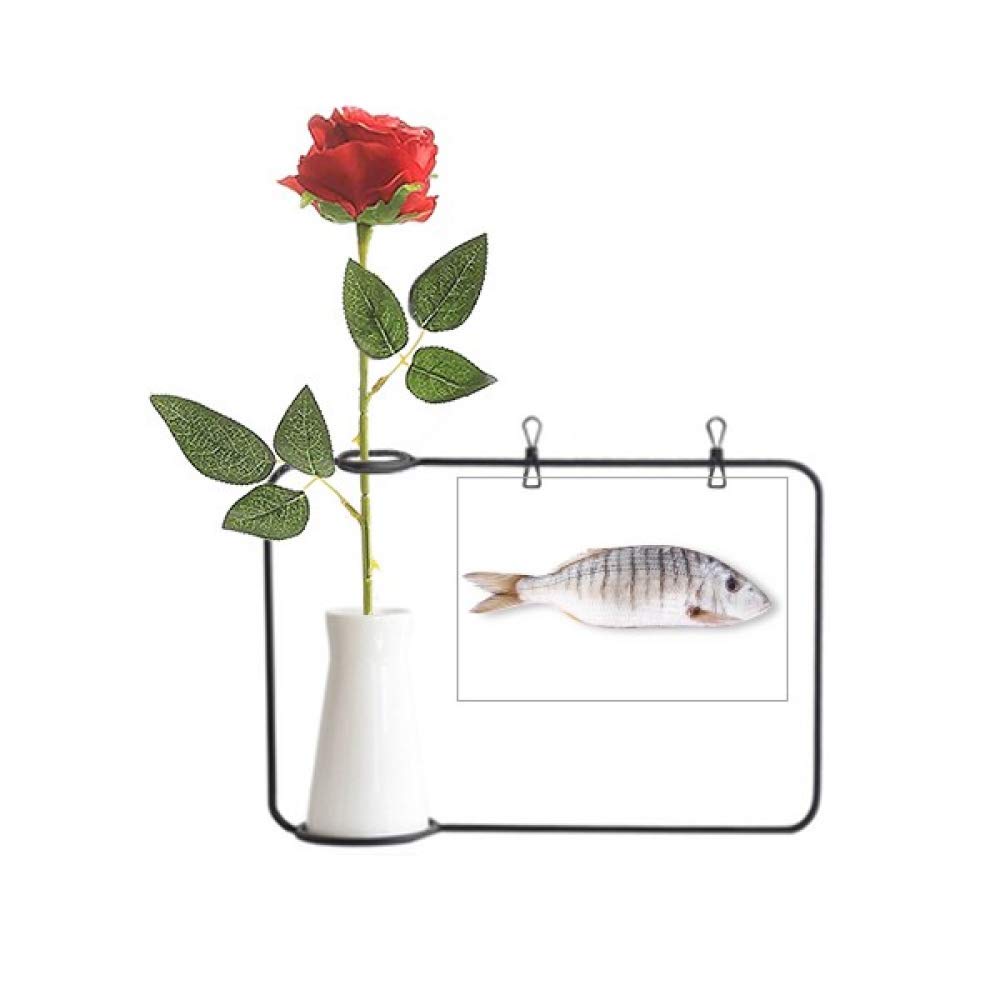 Fleur rose artificielle suspendue Ocean Fish vase bouteille haut de gamme pour intérieur