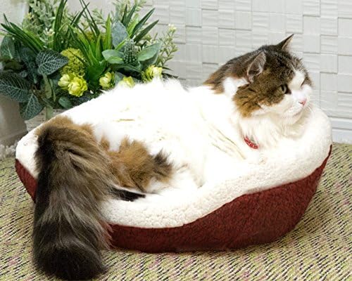 ShellKingdom Cat Bed,Creative Pet Bed for Kitty Cat and Small Dog（Brown，Hamburget）