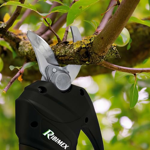 Ciseaux d'élagage 20 V RIBIMEX PRBAT20 coupe précise sans fil - 3