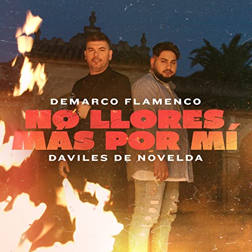 Demarco Flamenco & Daviles de Novelda
