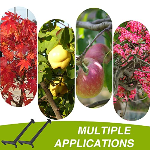 Lasnten 100 Pieces Black Fruit Tree Branch Limb Spreader For Strong Spreading Crotch Angles Branches, Plastic Bonsai Branch Trunk Spreaders Modelling Tool Plant Stem Trainer #TOP4