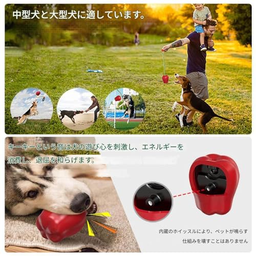 小型犬用 きゅうきゅう鳴るおもちゃ,噛む犬のための発音果実 | 強い咬む力のある犬の追いかけ狩り歯固め刺激トレーニング用おもちゃ 屋内屋外ビーチプール子犬発育 - ビーチ プール 室内用