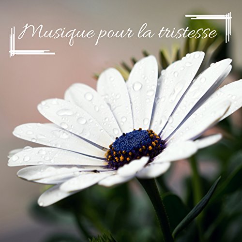 Amazon MusicでMusique Triste Piano & Sérénité Musique SpaのMusique pour la tristesse Réduction