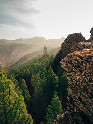 OM System OM-5 Mark II