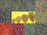 catappa-leaves
