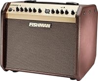Fishman-Lautsprecherbox Mini-Bluetooth, Braun & Gold