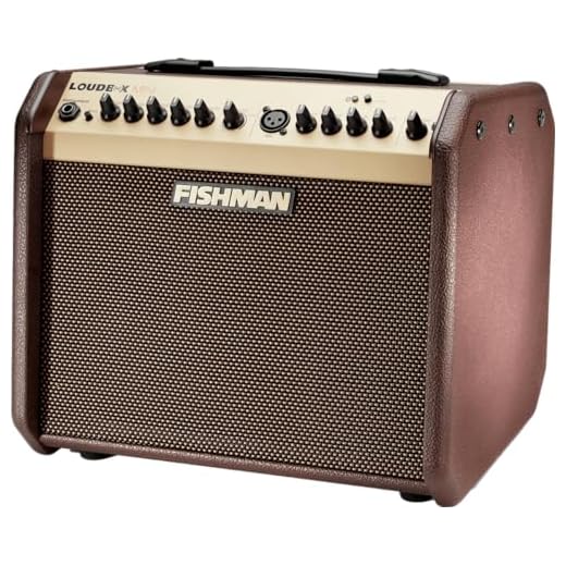 FISHMAN Verstärker Loudbox Mini, 60W, Bluetooth, 305 x 349 x 247mm, 8,90 kg