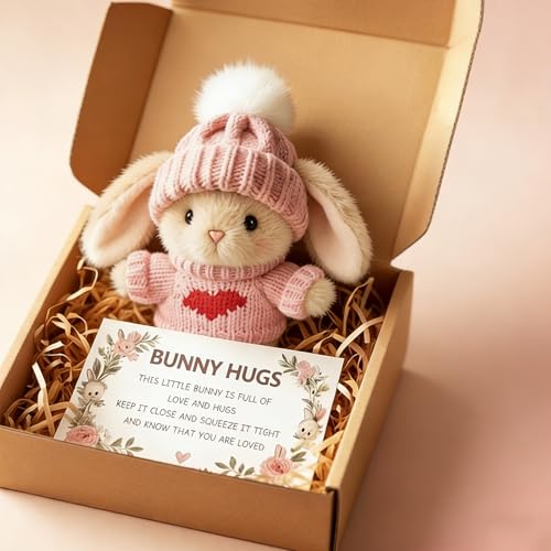 Mini Bunny Hug Keepsake Gift with Message Card in Box Handmade Decorative Bunny Gift for Women Adults Emotional Support Desk Decor Pink