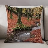 Funda Cojines del Sofá 50x50cm,Paisaje, Corriente Que Fluye Otoño Colorido Bosque Hojas Gorbea Parque Natural España,Throw Cojín Decoración Almohada Caso de la Cubierta Decorativo para Sala de Estar