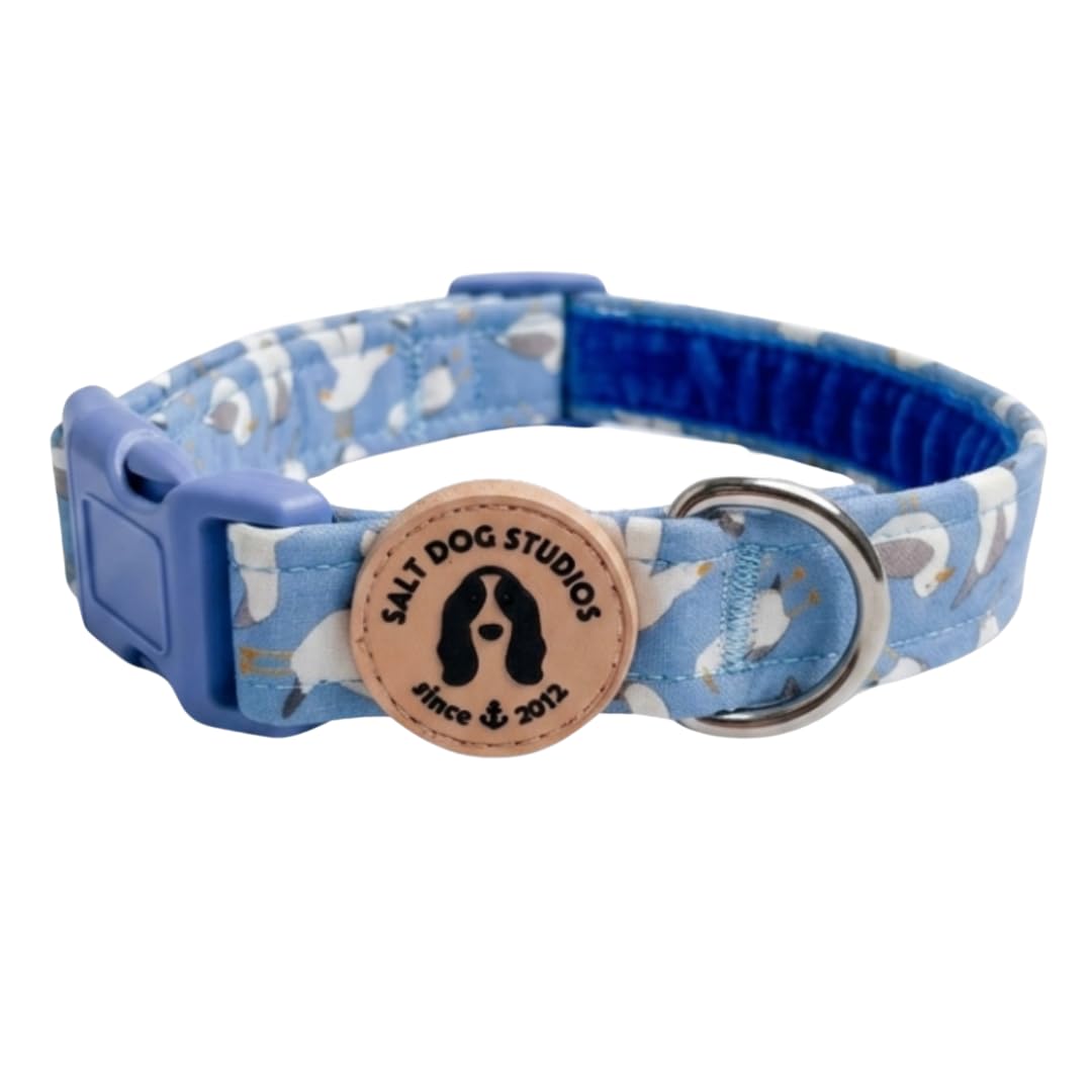 Coastal Dog Collar โ Adjustable Velvet Lined Dog Collar for Small, Medium, Large & Extra Large Dogs โ Soft Comfortable Fabric Collar by Salt Dog Studios (Seagull, Large)