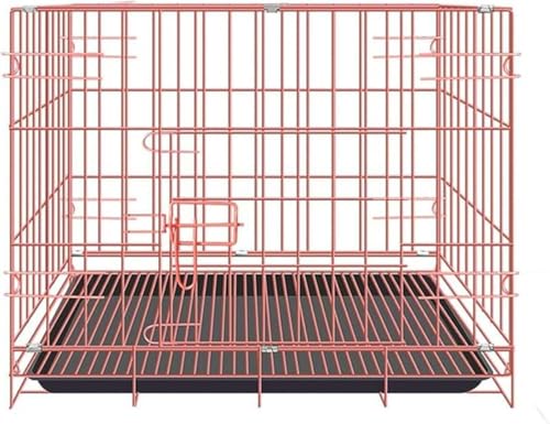 Xiraivke ybgx[VbNP[W ܂肽ݎEt g[ & t ^`^EEETM퓮Ή