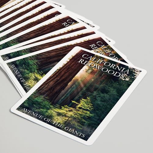 Lantern Press Redwood National Park, California, 52 cartas póker miniatura 5