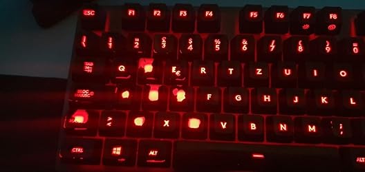 Immagine del cliente