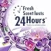 Fabuloso All-Purpose Cleaner, Lavender - 22 fluid ounce