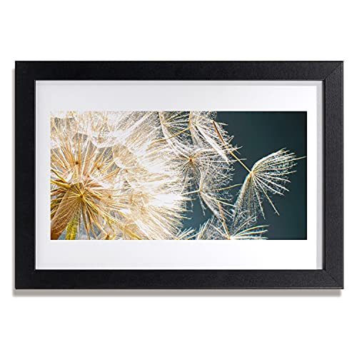 Photo affiche avec cadre de pissenlit 30x20 cm pour décoration intérieure moderne