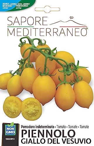 TOMATE INDETERMINADO COMPLETO AMARILLO DEL VESUVIO Lo mejor de la semilla para los mejores productores - Sin OGM - Semillas de muy alta germinabilidad (0,5 gramos)