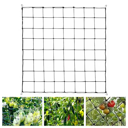 Red de Enrejado elástico - Red de Tienda de Cultivo - Scrog Red de 100 x 100 - con 4 Ganchos - diseño de Malla elástica - Ideal para jardín - Patio y jardinería