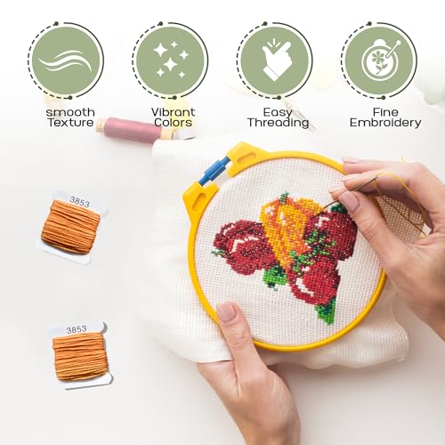 Image of Embroidery Floss Kit and Refills - Cotton Threads - DMC Color Coding for Cross Stitch, String Crafts, Friendship Bracelets