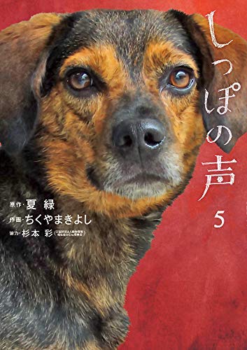 フレーメン反応の申し子猫 かつてない匂いに覚醒する ニコニコ動画
