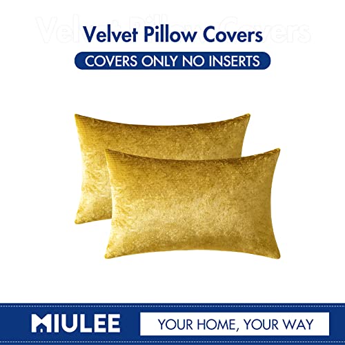 Image of MIULEE Velvet Throw Pillow Covers 12x20 Inch, Pack of 2 - Golden, Soft Solid Lumbar Decorative Pillow Covers Modern Luxury Home Decor for Chair Couch Sofa Bedroom Livingroom