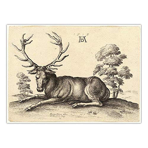 Klassischer Charakter Tier Abstrakte Kunst Ölgemälde Home Decoration Leinwand Kunst Wohnzimmer Poster Frameless50X60Cm C1832