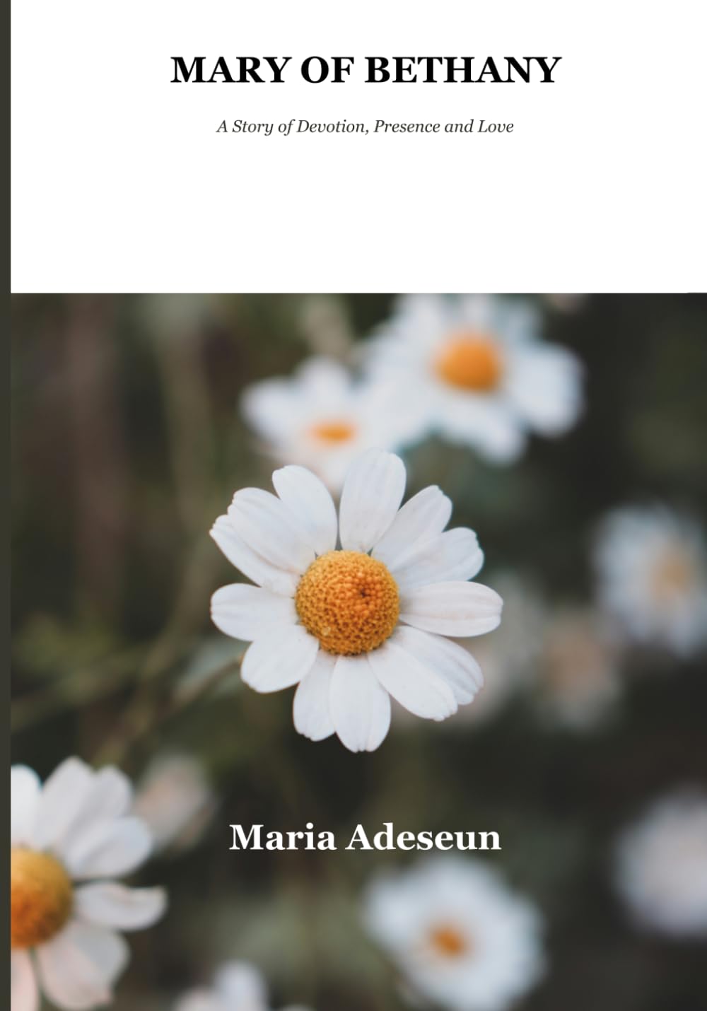 Mary of Bethany: A Story of Devotion, Presence and love. (Biblical Portraits)