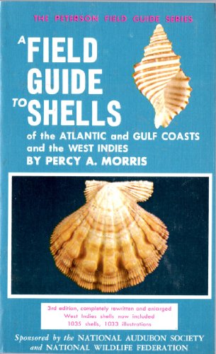Field Guide to Shells in Atlantic Gulf Coast 0395171709 Book Cover