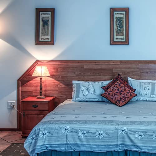 Ciata Fluorescent Bulbs, 4 Pin Cfl Replacement, 27 Watts, 4-Pin, 1500 Lumens, 80 Cri, 6500K Daylight, Gx10Q-4 Base Quad Tube Compact Fluorescent Plug-In Bulb For Portable Fixtures #TOP3