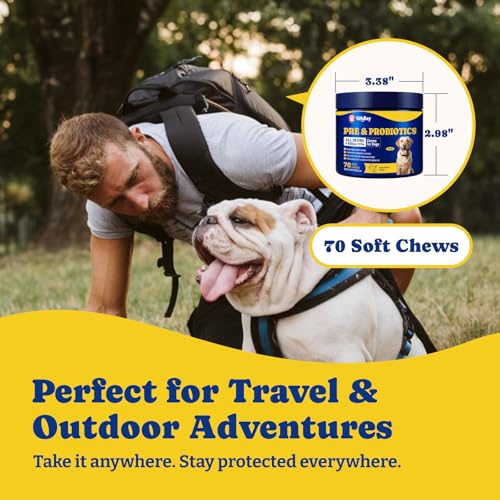 Image of Probiotics for Dogs - Dog Probiotics for Digestive Health, Yeast, Itchy Skin, Gut Health, Immune & Skin - 6 Billion CFUs, 70 Soft Chews, Duck & Pear Flavor - with Prebiotics & Digestive Enzymes