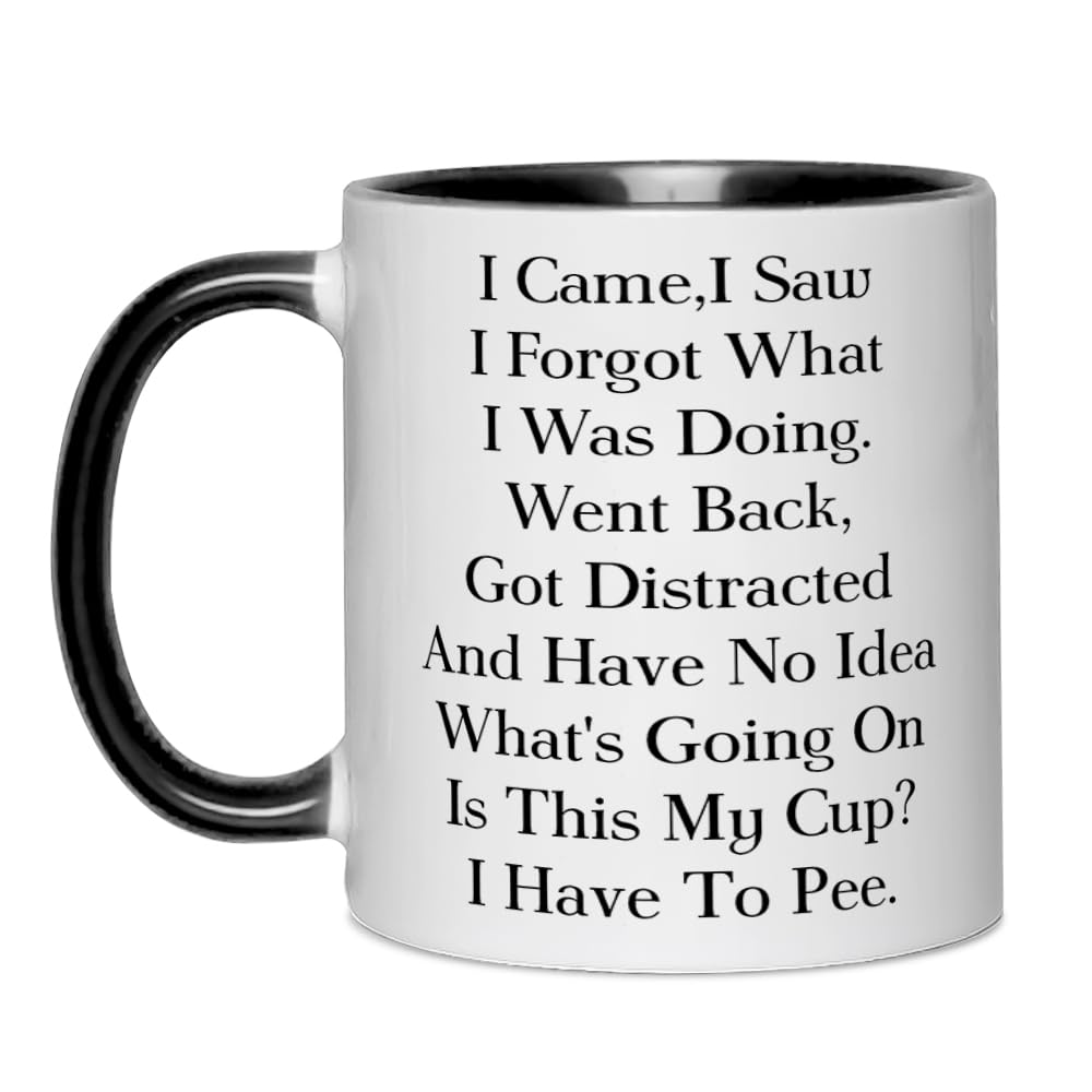 Funny Senior Citizens Coffee Mug I Came I Saw I Forgot What I Was Doing Funny Sarcastic Gifts