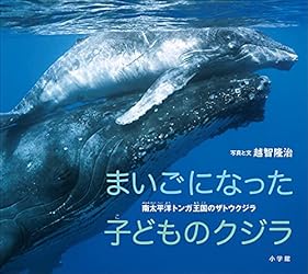 岸本ウラチ　ヤンバルクイナ 沖縄本部【公式】オキナワ ハナサキマルシェ