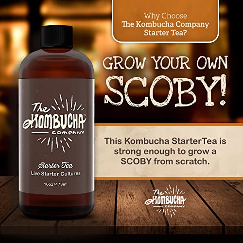 Kombucha Starter Tea | Grow Scoby From Scratch | 16 Oz Bottle | Live Cultures For Brewing 1 Gallon Of Homemade Kombucha Tea | By The Kombucha Company #TOP2