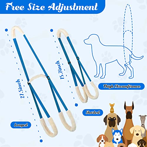 2 Pcs Dog Support Harness For Back Legs Dog Rear Lifting Sling Aid With Handle And Shoulder Strap Hind Leg Support For Pet Mobility Helps Dogs With Poor Stability, Arthritis, Joint Injuries (Blue) #TOP2