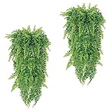 Dimensioni: La lunghezza totale delle nostre piante pensili artificiali è di circa 75 cm e la larghezza è di circa 30 cm, la confezione include 2 piante pensili artificiali in totale. Lussureggianti piante pensili artificiali aggiungeranno colori freschi alla tua vita.