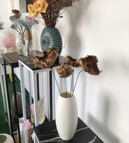 Flores Secas de Coco Boho, 4 Tallos para Decoración miniatura 7