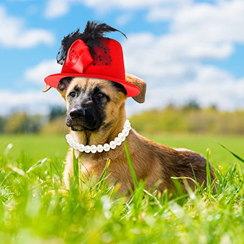 Sombrero y collar de disfraz formal para mascotas Yewong miniatura 6