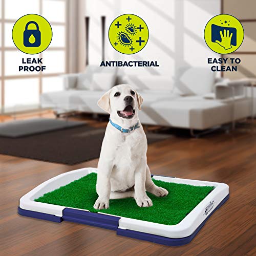 greenbone grass training pad