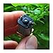 DC 1.5V 3V 5V 6V 2000RPM N20 Full Metal Gearbox Gear Reducer Electronic Starter Speed Reduction Electronic Starter Motor Drivers