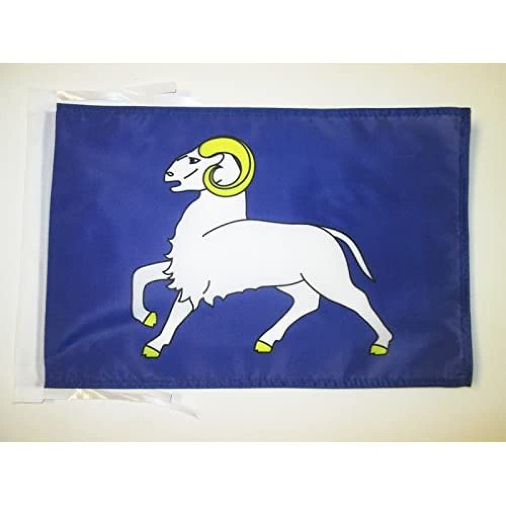 AZ FLAG - Cornouaille Flag - 18'' x 12'' - 100% Polyester Cornwall in Brittany Small Banner with Two Cords - Fade Resistant - Vivid Colors - 18x12 in - 45x30 Cm — image 1