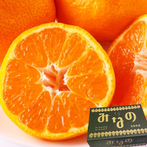 ݂ ݂Ȃ̋Î݂ Gi 3kg S`LTCY 20`40 QY ~J t[c ʕ O