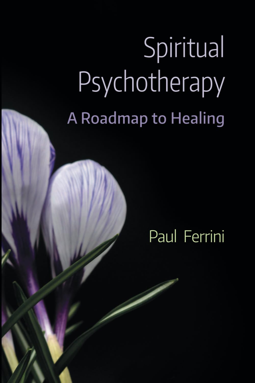 Spiritual Psychotherapy: A Roadmap to Healing